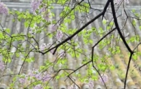 一位普通北京市民与AI交流的几点心得