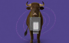 Cleanlab公司打造AI新工具,能甄别大模型的回答可信度