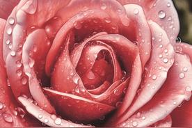 「Midjourney」参数详解 - stylize-AI创意社|学院