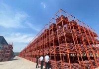 加力突破 提档进阶｜巧用“电子仓单”破解融资-AI创意社|学院