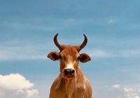 创新高！刚刚，见证历史！-AI创意社|学院