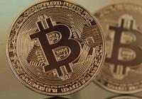 两大领先指标发出警示信号，比特币“人心惶惶”-AI创意社|学院