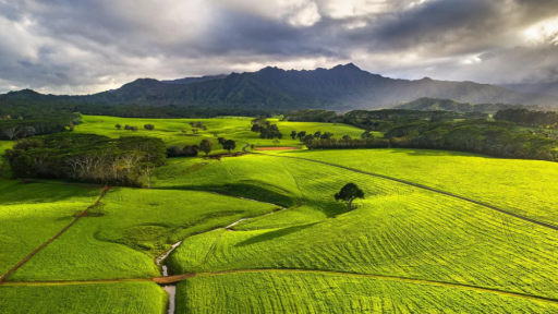 侏罗纪公园”富豪分享：人工智能时代如何保持理性投资