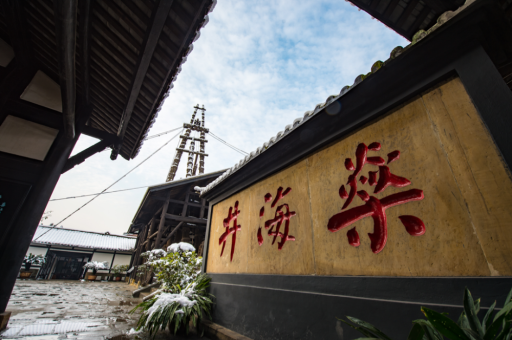 人工智能大模型如何高效投喂数据？头部企业为何扎根四川自贡？