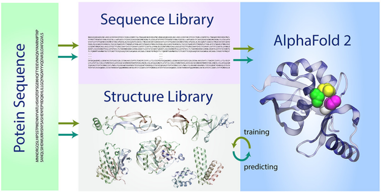 诺贝尔化学奖揭示AI与游戏的广阔前景