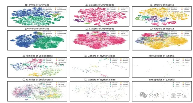 生成式AI引领CVPR最佳论文，清华武大华南农大校友斩获殊荣