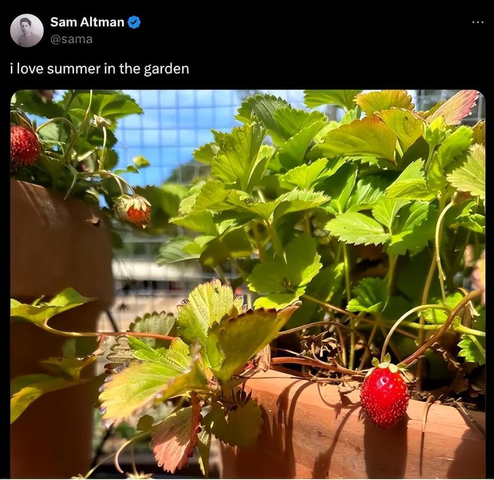 OpenAI新模型表现堪比博士,我请清北博士亲自评测 OpenAI新模型表现堪比博士,我请清北博士亲自评测