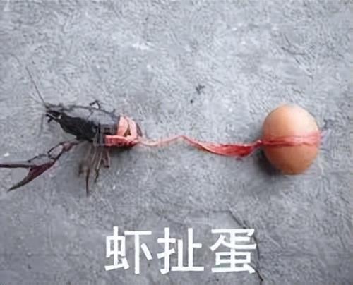 OpenAI新模型表现堪比博士,我请清北博士亲自评测 OpenAI新模型表现堪比博士,我请清北博士亲自评测