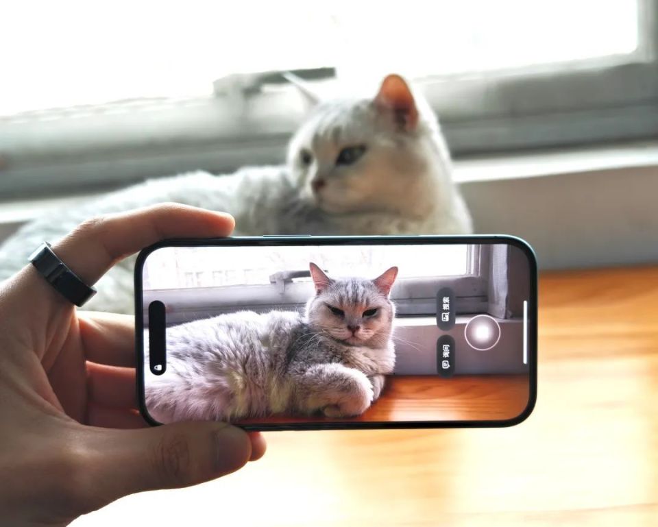 Apple AI中文版正式发布:体验尚需提升,却极具苹果风范 Apple AI中文版正式发布:体验尚需提升,却极具苹果风范