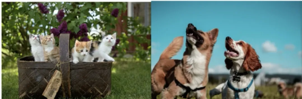 大模型在人工智能中的可行性探讨